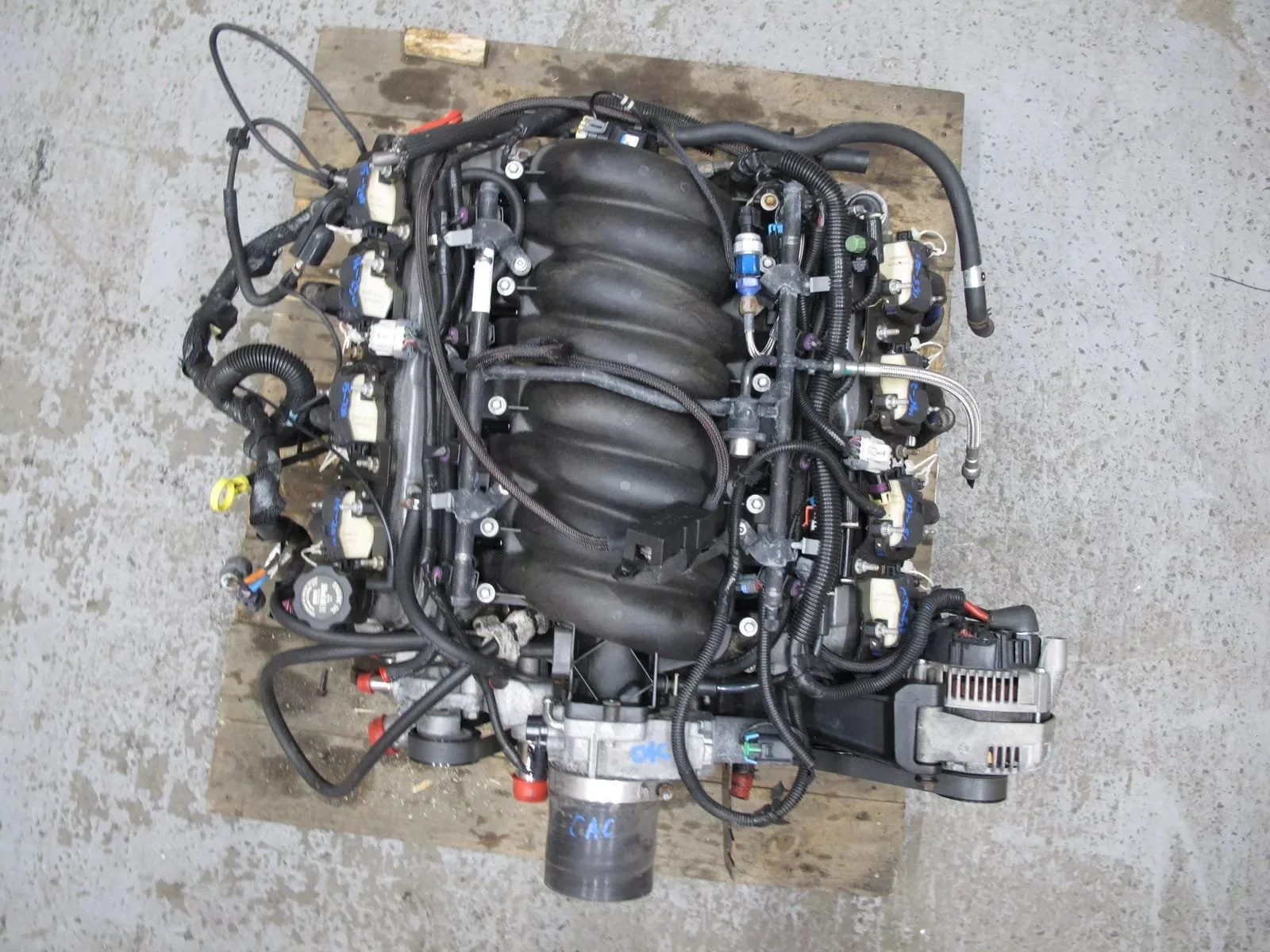 99-00 Chevrolet Corvette C5 5.7L LS1 RWD VIN G 8th Complete Engine 6 Speed Manual 81k Miles - Image 6